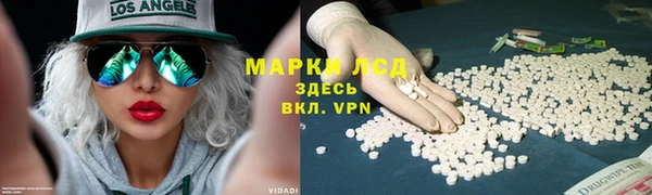 ГАЛЛЮЦИНОГЕННЫЕ ГРИБЫ Майский