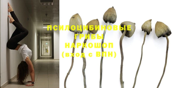 спайс Магадан
