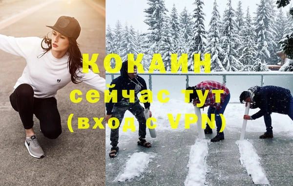 соль ск Бородино