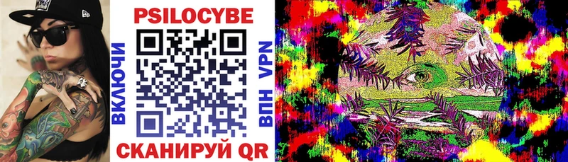 купить закладку  Исилькуль  Галлюциногенные грибы Cubensis 