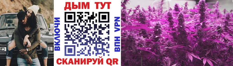 купить наркотики сайты Исилькуль кракен сайт МАРИХУАНА Amnesia